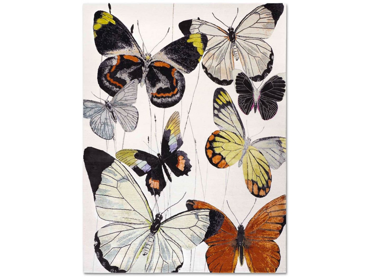 Eden Butterfly N.03 Original on White